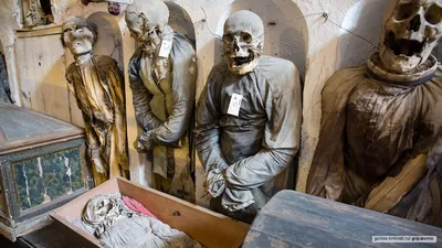 Катакомбы капуцинов — Музей мертвецов в Палермо — экскурсия на «Тонкостях  туризма»