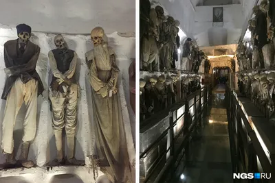 Путешествие в музей мертвецов: страшно до жути - Tochka.net