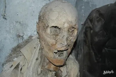 Байки из склепа: в Палермо можно посетить музей настоящих мертвецов! -  туристический блог об отдыхе в Беларуси