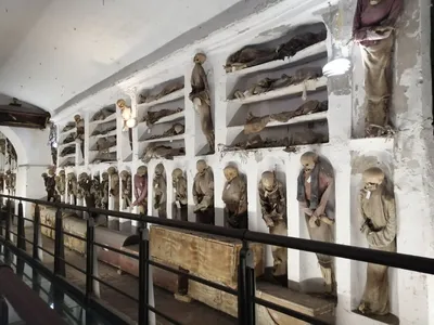 Путешествие в Музей мертвецов в Палермо | Огненный гид из Екатеринбурга |  Дзен