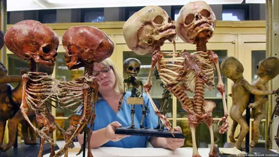 Музей мертвецов в Палермо: факты и мистика » Страшные истории