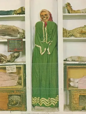 Байки из склепа: в Палермо можно посетить музей настоящих мертвецов! -  туристический блог об отдыхе в Беларуси