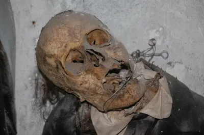 Музей мертвецов Палермо: а вдоль дороги мертвые... — Наш Урал и весь мир