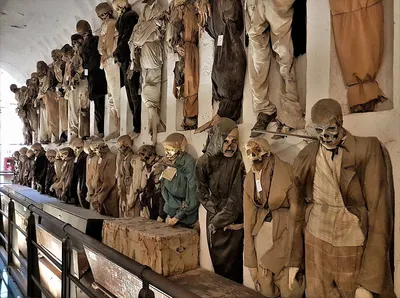 Путешествие в музей мертвецов: страшно до жути - Tochka.net