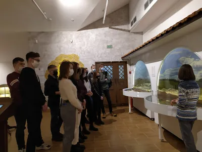 Национальный художественный музей, Минск: экспозиция, цены 2024, отели  рядом, фото, видео, как добраться — Туристер.ру