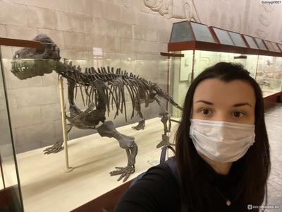 Палеонтологический музей в Москве | Пикабу
