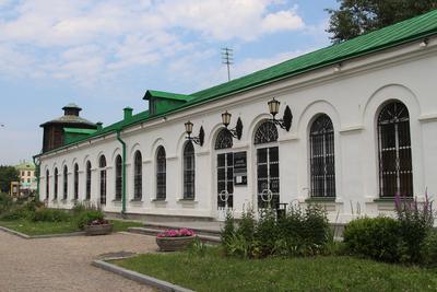 Музей природы Екатеринбург фото