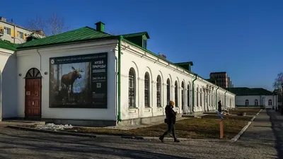 Музей природы Урала, отзыв от Polyakova_Tatiana – \"Музей природы в  Екатеринбурге\", Екатеринбург, Россия, Ноябрь 2017