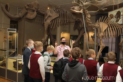 Единственный в мире полный скелет широкорого оленя: почему в Екатеринбурге  стоит сходить в музей Природы? | Пути-дорожки | Дзен