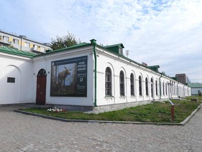 Музей «Музей природы Урала» в Екатеринбурге | A-a-ah.ru