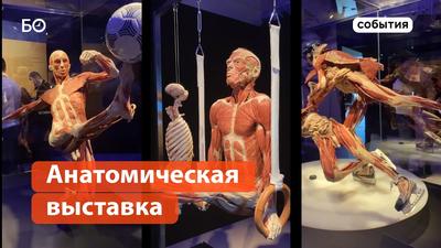 Отзыв о Музей Смерти на Новом Арбате (Россия, Москва) | Оригинально