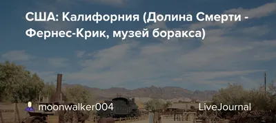 Лондонский музей, в подвалах которого лежат 20 000 скелетов - BBC News  Русская служба