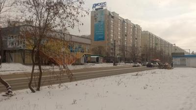 Жители МЖК в Новосибирске продолжают бороться за сквер вместо торговых  рядов с ларьками