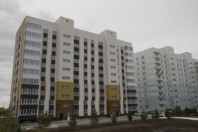 В Новосибирске запретили строить торговый павильон на месте сквера на МЖК |  ОБЩЕСТВО | АиФ Новосибирск