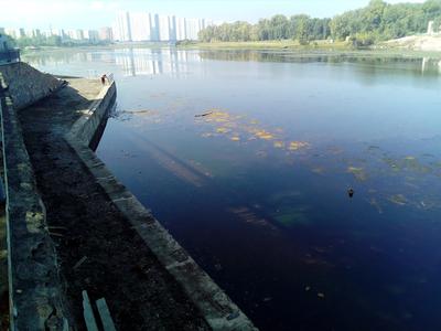 В Красноярске 2 сентября «ЯРкие берега» пройдут на Центральной набережной |  ОБЩЕСТВО | АиФ Красноярск