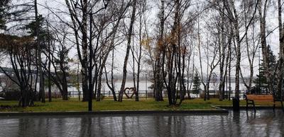 Названа дата открытия обновленной набережной в Новосибирске