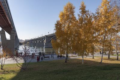 Ледовый городок «Времена года» открыли на набережной в Новосибирске