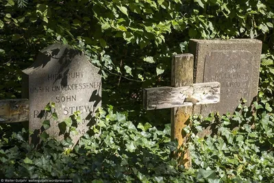 Братское кладбище на Соколе, плита воинам Первой мировой войны, Белого  движения и Советской армии.