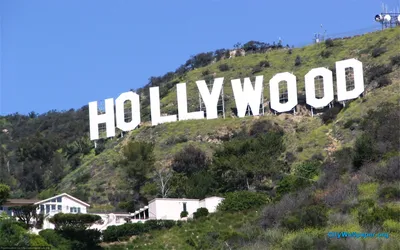 В США изменили знаменитый знак Hollywood, чтобы напомнить о раке груди -  02.02.2021, Sputnik Беларусь