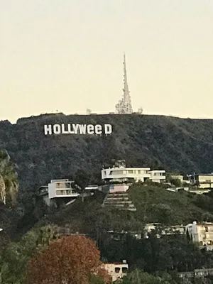 Знаменитая надпись Голливуд в Лос …» — создано в Шедевруме