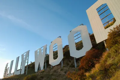 Знаменитую надпись Hollywood превратили в Hollyweed — Новости — Teletype