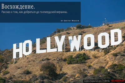 Знаку «HOLLYWOOD» скоро 100 лет. На реставрацию уйдет 1,5 тыс. л краски |  РБК Life