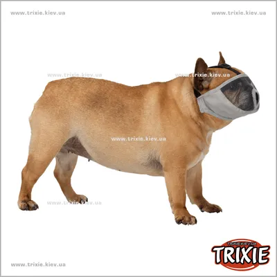 ™TRIXIE TX-17626 Намордник для короткошерстных пород TRIXIE S--M 31cm серый  French Bulldog