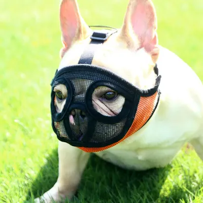 Регулируемая Маска для защиты рта собаки, дышащая маска для французского  бульдога для предотвращения лая | AliExpress