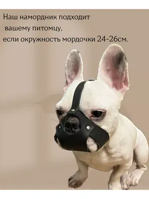 Намордник для собак, регулируемый намордник для французского бульдога,  маска для рта собаки, дышащий намордник для предотвращения лая, товары для  ...