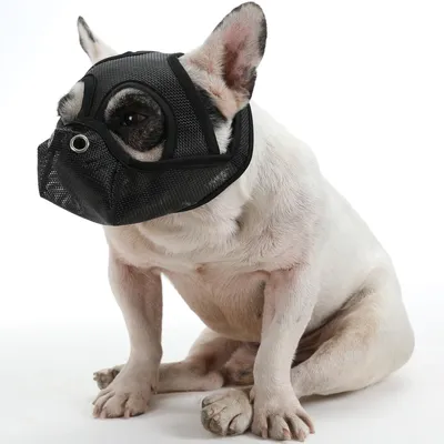Намордник для собак, регулируемый намордник для французского бульдога,  маска для рта собаки, дышащий намордник для предотвращения лая, товары для  собак, защита для рта | AliExpress