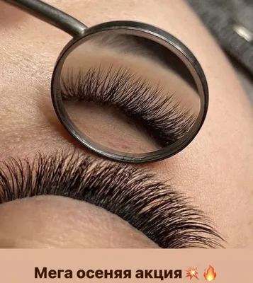 lash_nail_novor on X: \"Наращивание ресниц #кукольныйэффект #беличийэффект  #лисийэффект #novorossiysk #photo #lovenovorossiysk #лайк  #тайм_novorossiysk #stilnovorossiysk #новороссийск_лайк #наращиваниеяРесниц  #novorossiysk_city #2D #3D #4D #5D #6D ...