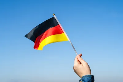 В Германии выросло население из-за украинских беженцев