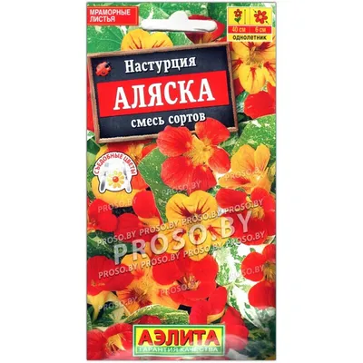 Купить цветы настурция аляска смесь 1,5г русский огород по оптимальной  цене. Строительные материалы оптом и в розницу с доставкой