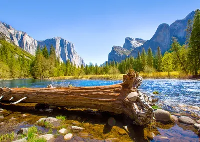 Лучшие национальные парки США: 12 мест, где каждый найдет что-то свое -  ForumDaily