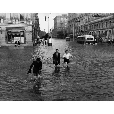 Непогода в Подмосковье: в области бушуют дождь, град, молнии, потоп | Москва  | ФедералПресс