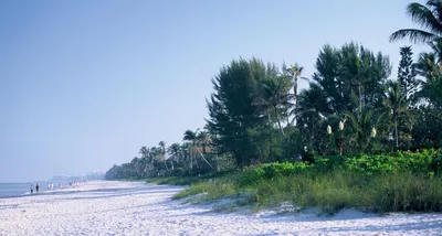 Naples Florida Vacation Travel Guide | Naples.Travel