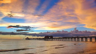 The Top Things To Do And See In Naples Florida