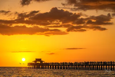 Beautiful Beach in Naples, Florida Editorial Stock Image - Image of resort,  people: 90388559