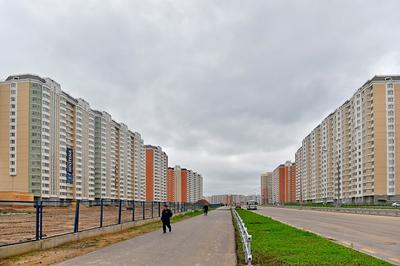 Парк в ТПУ «Некрасовка» станет комфортным местом отдыха москвичей —  Комплекс градостроительной политики и строительства города Москвы