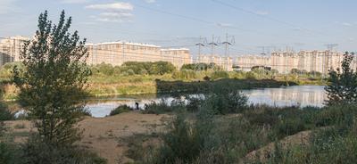 Ландшафтный парк в ТПУ «Некрасовка» — Комплекс градостроительной политики и  строительства города Москвы