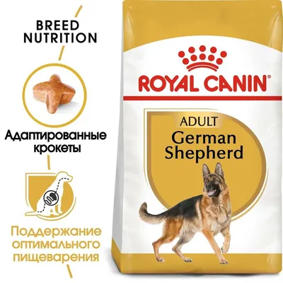 Клички для собак-мальчиков немецких овчарок - Питомцы Mail.ru