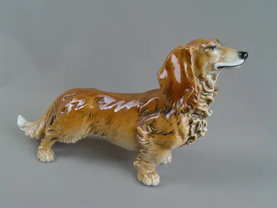 Купить фарфоровую статуэтку собаки Длинношерстная такса, Karl Ens,  Германия, 1920-30 гг по цене 44 400 руб. - Старивина