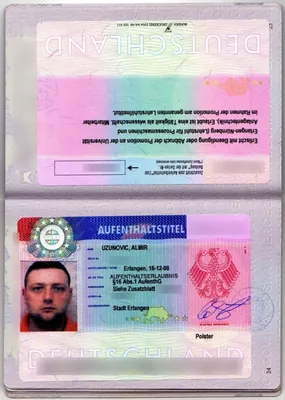 Онищенко заявил, что от Германии ему нужна рабочая виза а не гражданство