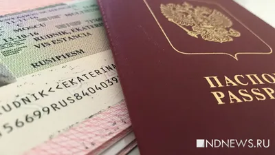 Анкета на национальную визу в Германию: как заполнить заявление о выдаче немецкой  визы, пример заполнения, образец заявления