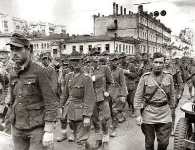 Пленные немецкие солдаты, захваченные частями 9-й армии США в восточной  Франции — военное фото