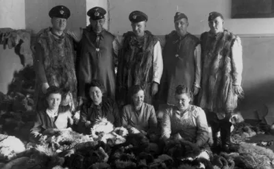 Арестованные немецкие женщины из охраны СС концлагеря Берген-Бельзен [2] —  военное фото