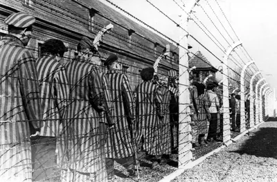 Лагеря смерти: Бухенвальд, Освенцим и Дахау — VERBUM
