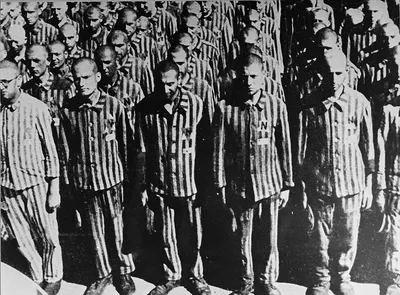 Нацистская расовая идеология. Ужасы холокоста – Анапский археологический  музей