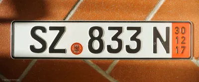 Сделали сувенирные номера Германии на автомобиль (RTN832)