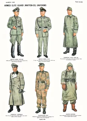 Советский майор и немецкие офицеры в... - Исторические Фото | Facebook